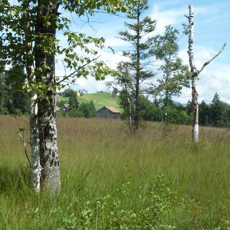 Haus Berchtold Leilighet Alberschwende Eksteriør bilde